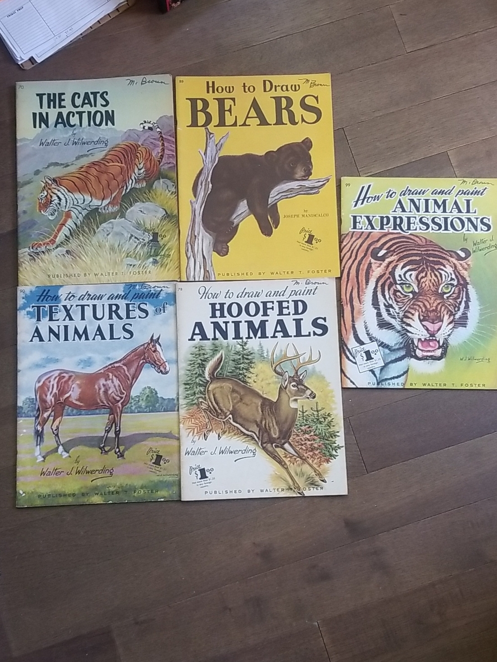 Set of 5 Vintage Animal Drawing Books - Yellow, Green, Brown Covers